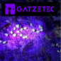 Preview: GATZETEC WF501B UV 395nm für Bernsteinsuche LED Taschenlampe effekte