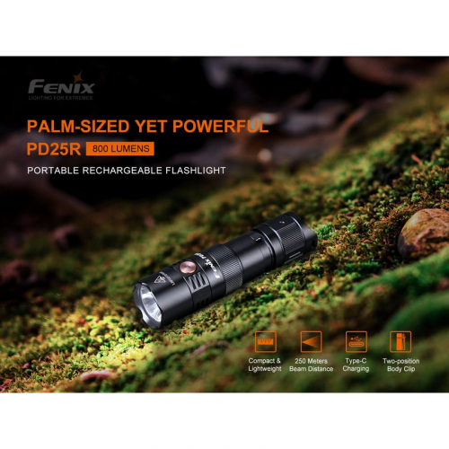 Preview: Fenix PD25R LED Taschenlampe Gatzetec hell